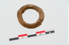 Foto von Bernsteinring (NHMW-PRAE-024437)
